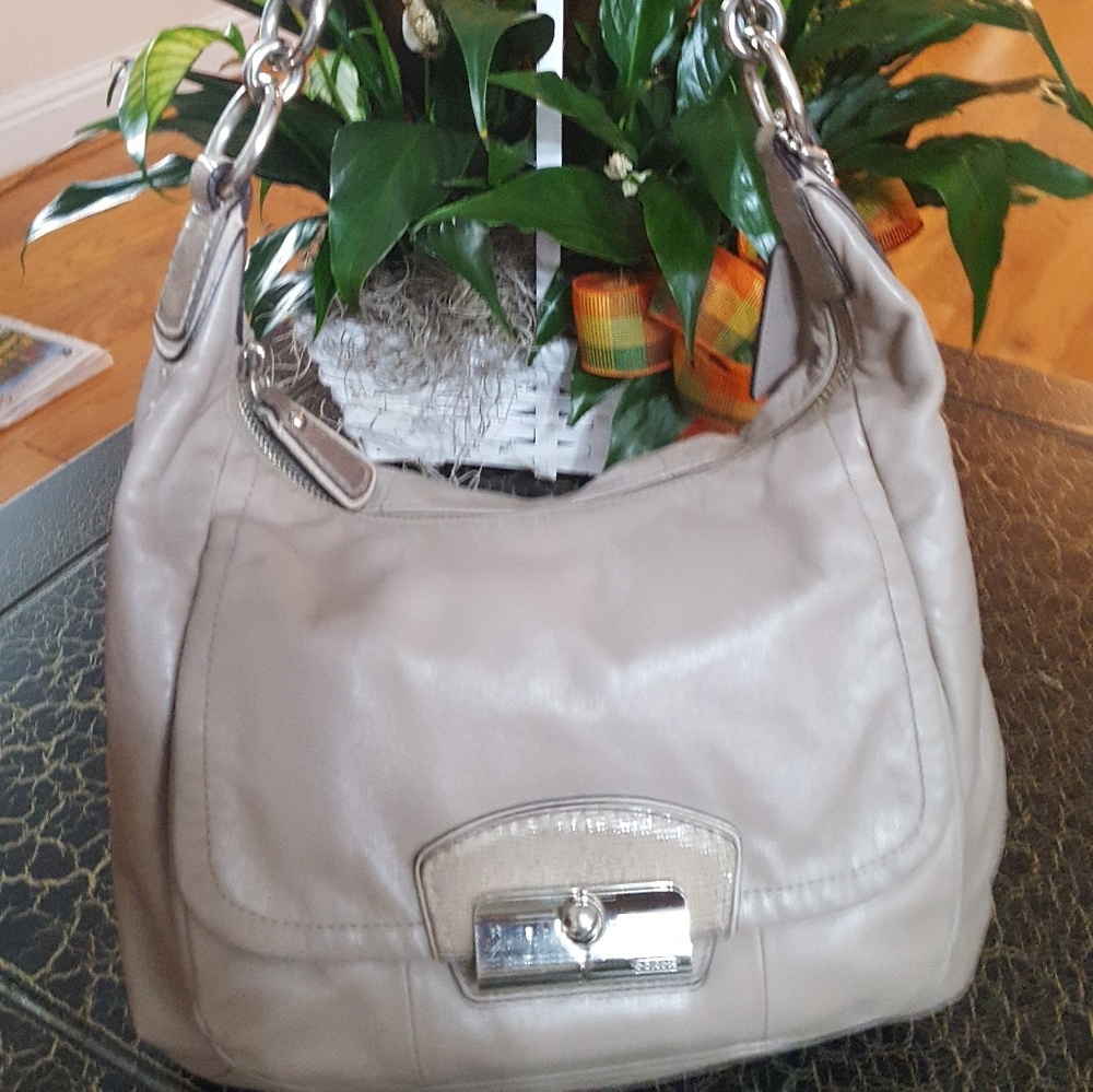 Coach Kristin Leather Hobo Bag 19293